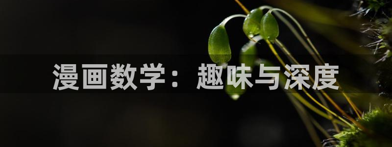 小女子波子汽水羞羞动漫：漫画数学：趣味与深度